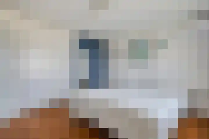 Konijnenberg 66 Halsteren thumbnail 4