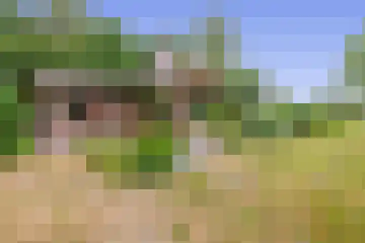 Konijnenbergen 36 Havelte thumbnail 21