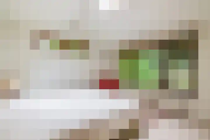Konijnenbergen 36 Havelte thumbnail 26