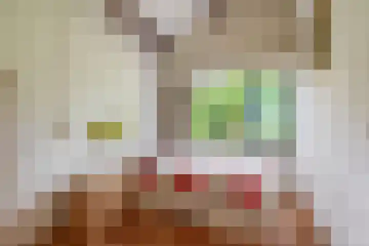 Konijnenbergen 36 Havelte thumbnail 31