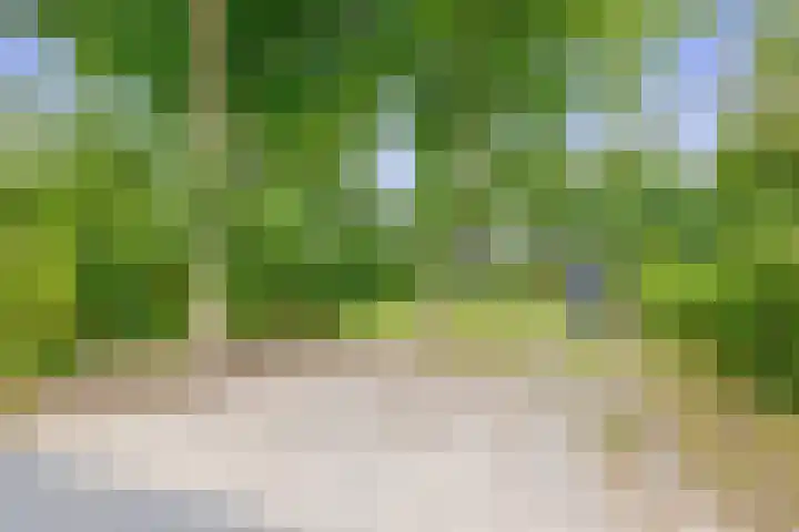 Konijnenbergen 36 Havelte thumbnail 34