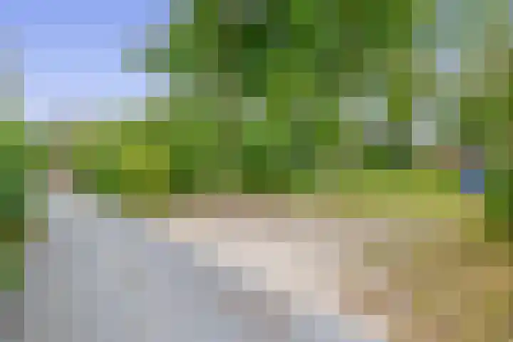 Konijnenbergen 36 Havelte thumbnail 35