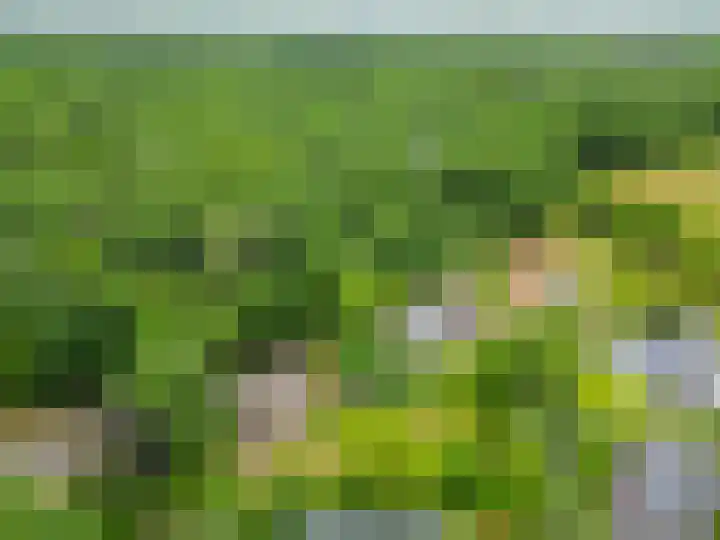 Konijnenbergen 36 Havelte thumbnail 37