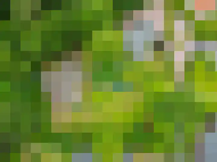 Konijnenbergen 36 Havelte thumbnail 38