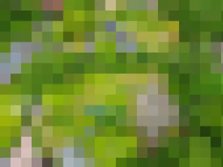 Konijnenbergen 36 Havelte thumbnail 39