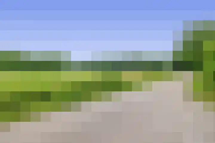 Konijnenbergen 36 Havelte thumbnail 41