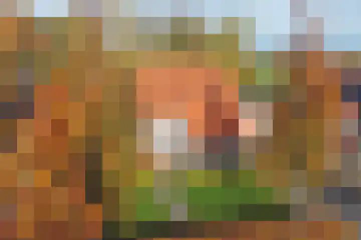 Koning Haakonstraat 2 Moerdijk thumbnail 36