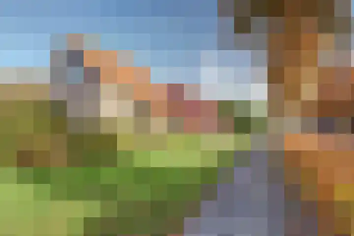 Koning Haakonstraat 2 Moerdijk thumbnail 39