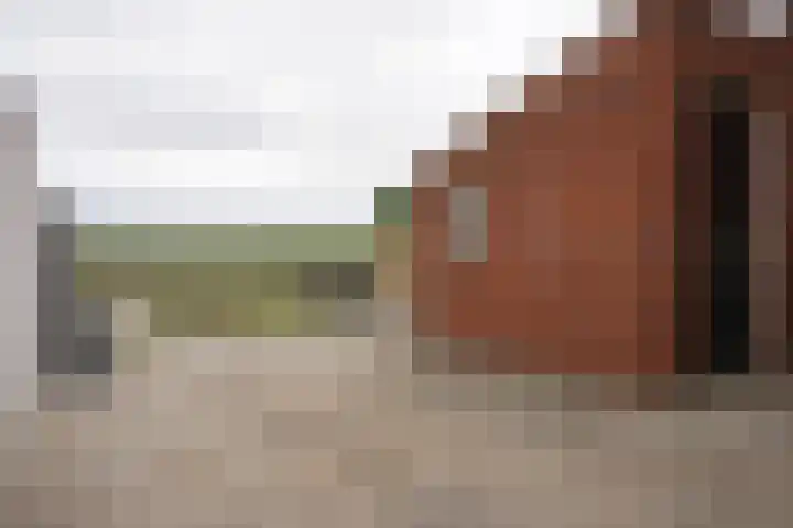 Koningin Julianastraat 26 Hoofdplaat thumbnail 25