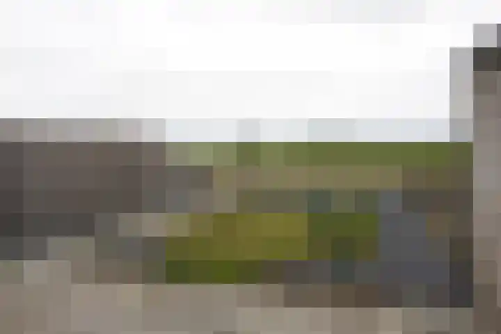 Koningin Julianastraat 26 Hoofdplaat thumbnail 26