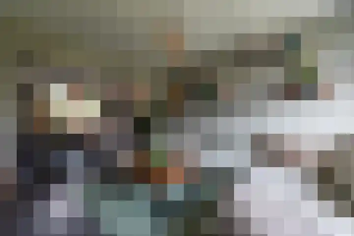 Koningin Wilhelminastraat 61 in Arkel