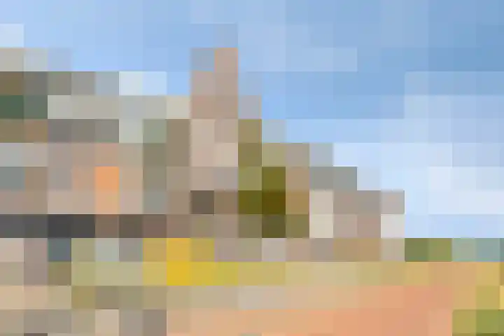 Koninginnedijk 214 Grave thumbnail 6