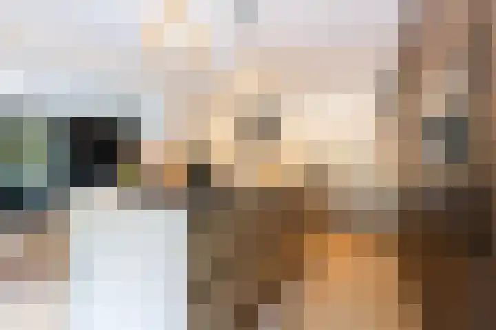 Koninginnelaan 9 Ermelo thumbnail 25