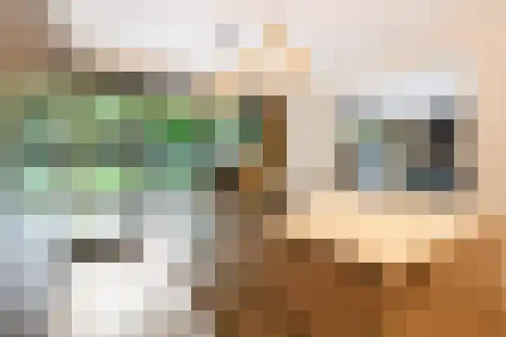 Koninginnelaan 9 Ermelo thumbnail 26