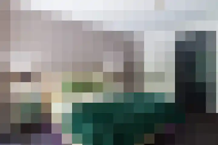 Koninginnelaan 9 Ermelo thumbnail 30