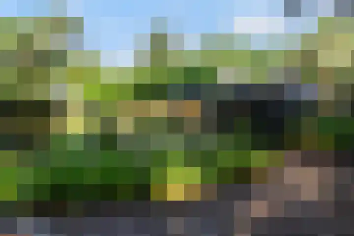 Koninginnelaan 9 Ermelo thumbnail 4