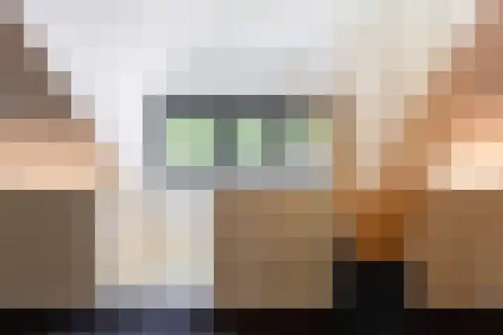 Koninginnelaan 9 Ermelo thumbnail 40