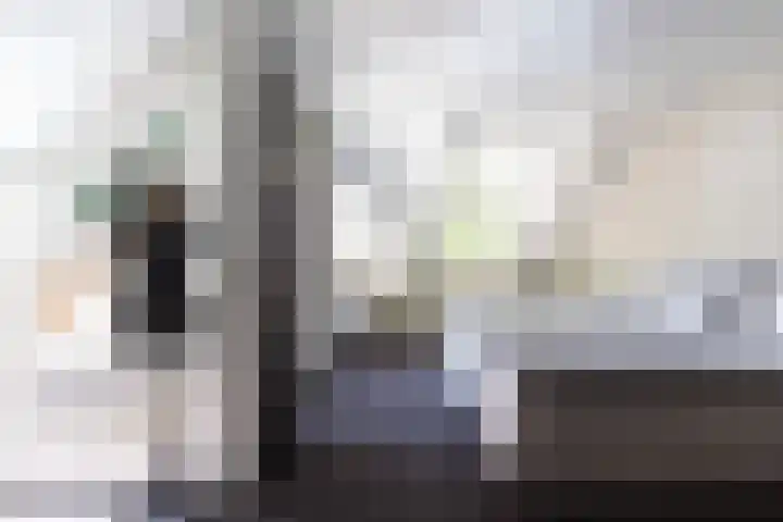 Koninginnelaan 9 Ermelo thumbnail 47