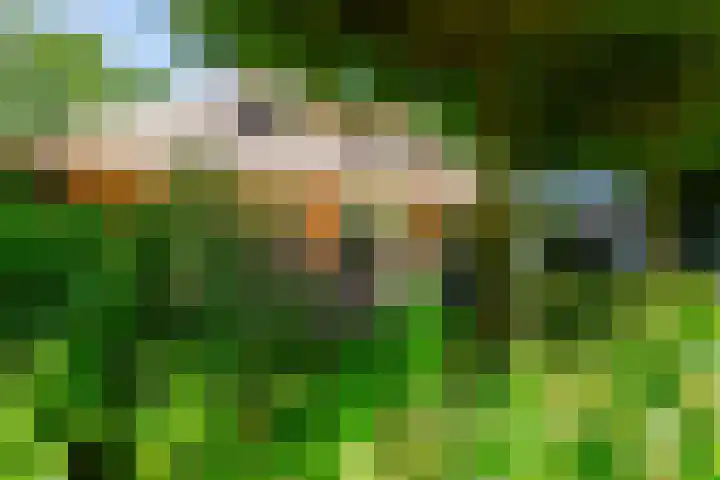 Koninginnelaan 9 Ermelo thumbnail 58