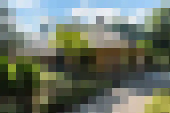 Koninginnelaan 9 Ermelo thumbnail 6