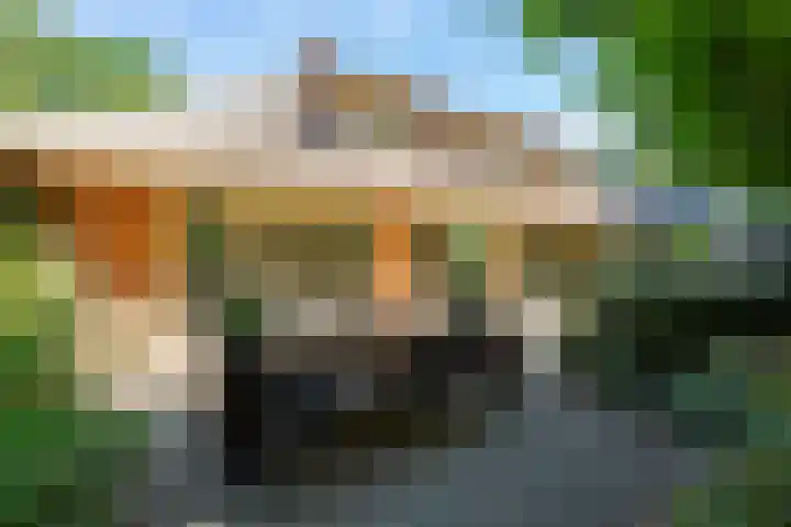 Koninginnelaan 9 Ermelo thumbnail 60