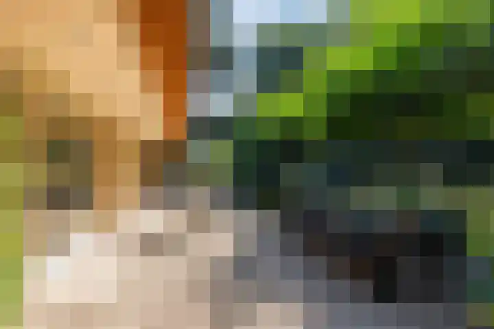 Koninginnelaan 9 Ermelo thumbnail 61