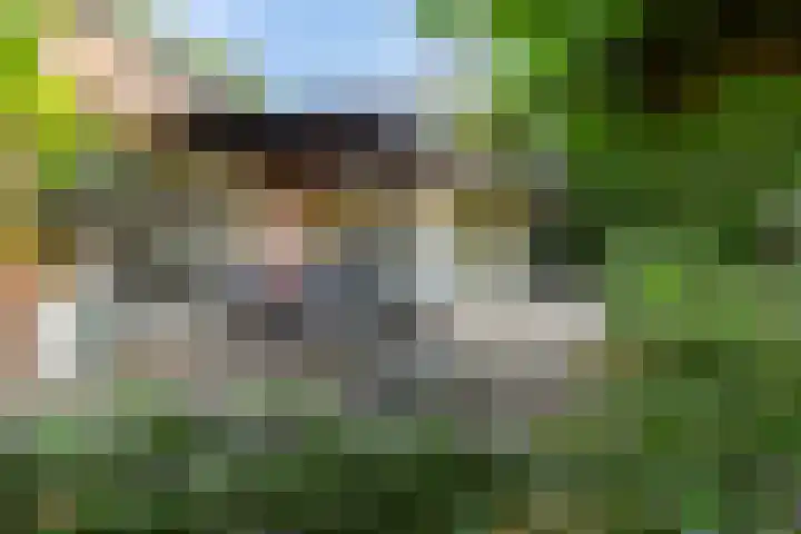 Koninginnelaan 9 Ermelo thumbnail 62