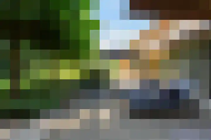 Koninginnelaan 9 Ermelo thumbnail 63