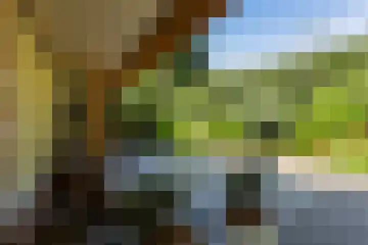 Koninginnelaan 9 Ermelo thumbnail 7