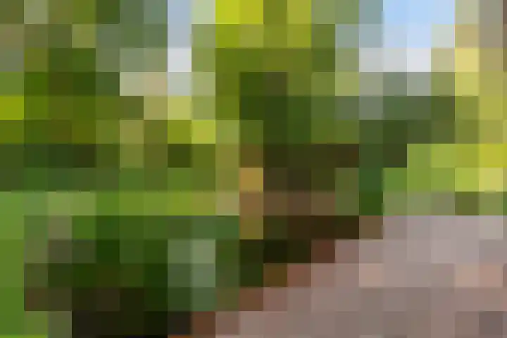 Koninginnelaan 9 Ermelo thumbnail 70