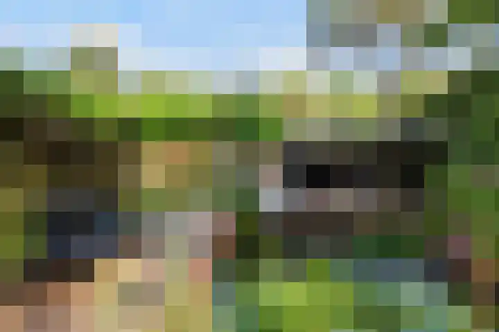 Koninginnelaan 9 Ermelo thumbnail 71