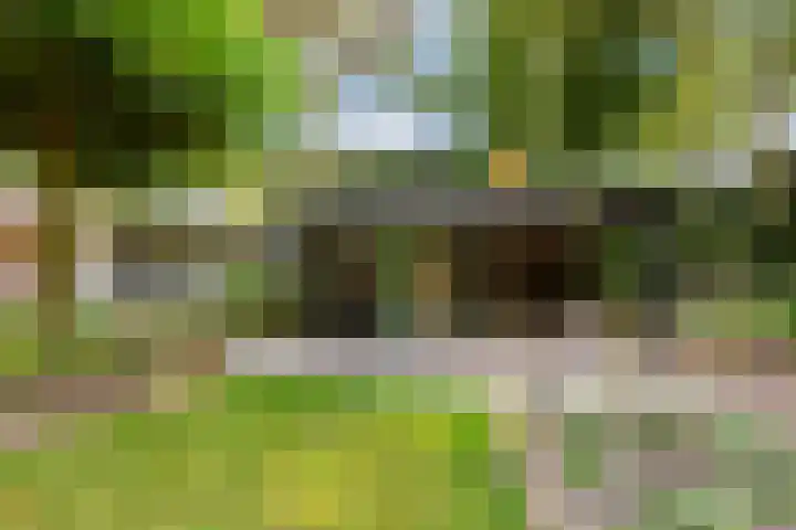 Koninginnelaan 9 Ermelo thumbnail 72