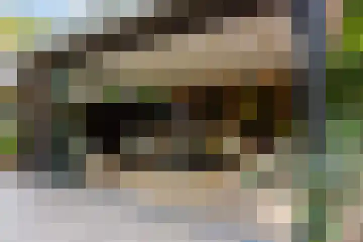 Koninginnelaan 9 Ermelo thumbnail 73