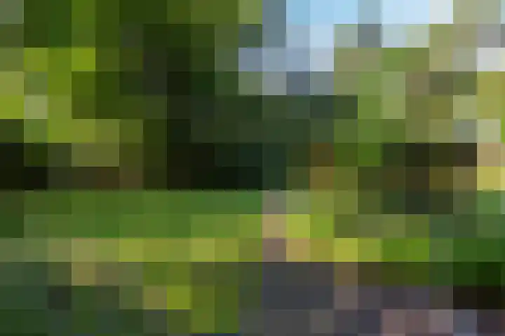 Koninginnelaan 9 Ermelo thumbnail 76