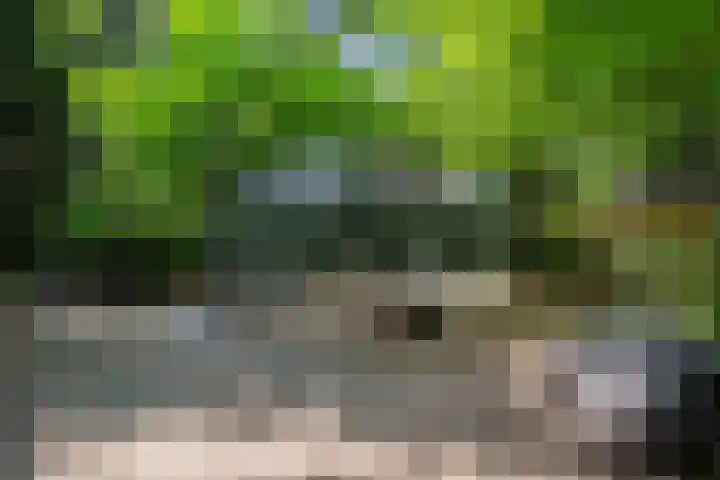 Koninginnelaan 9 Ermelo thumbnail 77