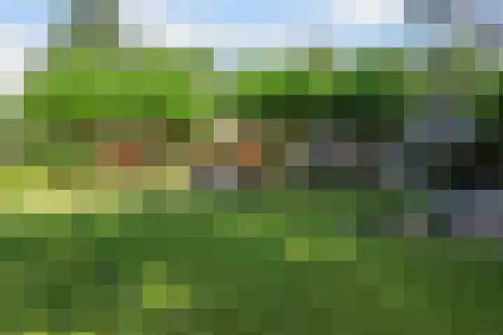 Koninginnelaan 9 Ermelo thumbnail 79
