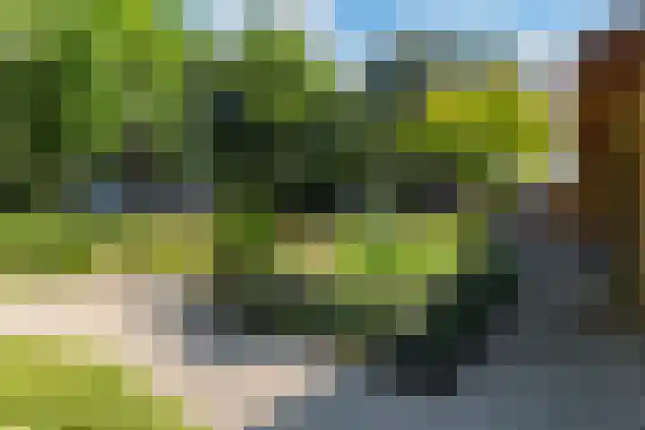 Koninginnelaan 9 Ermelo thumbnail 8