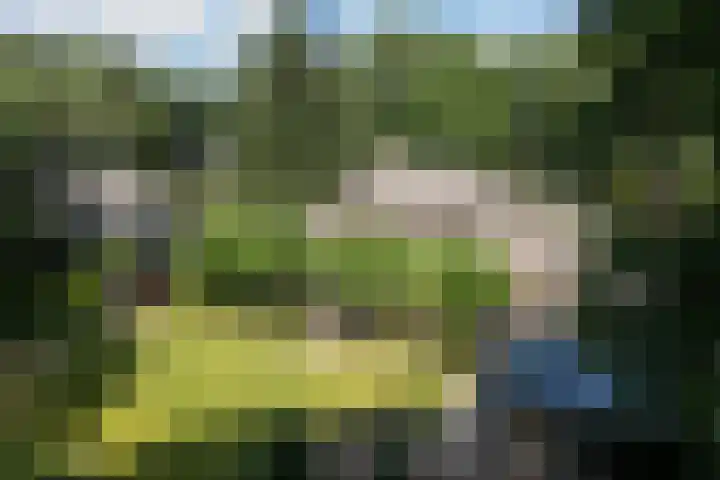 Koninginnelaan 9 Ermelo thumbnail 84