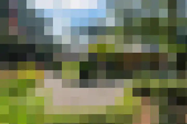 Koninginnelaan 9 Ermelo thumbnail 85