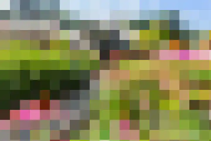 Koninginnelaan 9 Ermelo thumbnail 87