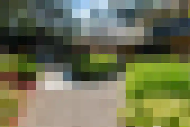 Koninginnelaan 9 Ermelo thumbnail 88