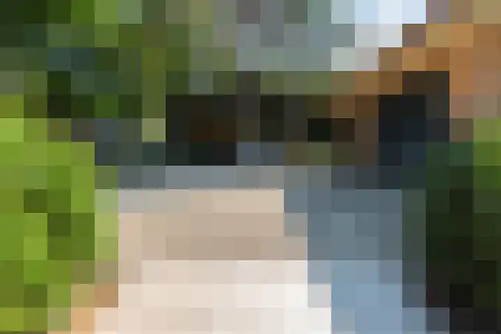 Koninginnelaan 9 Ermelo thumbnail 89
