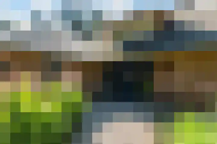 Koninginnelaan 9 Ermelo thumbnail 9