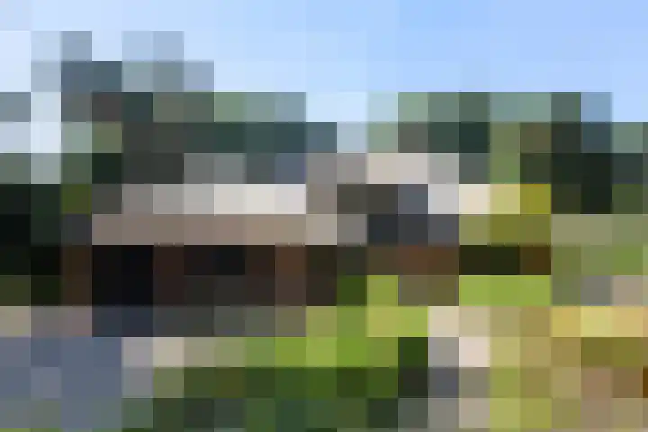 Koninginnelaan 9 Ermelo thumbnail 91