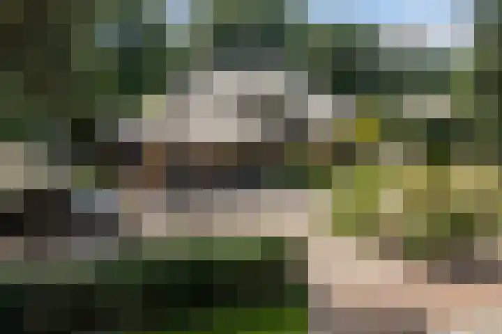 Koninginnelaan 9 Ermelo thumbnail 93