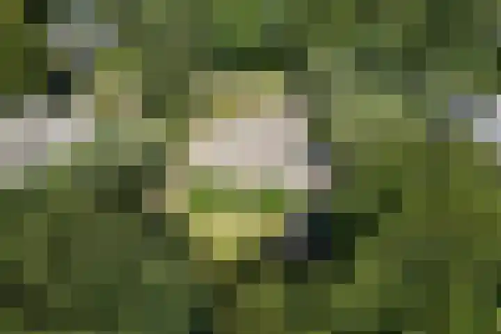 Koninginnelaan 9 Ermelo thumbnail 94