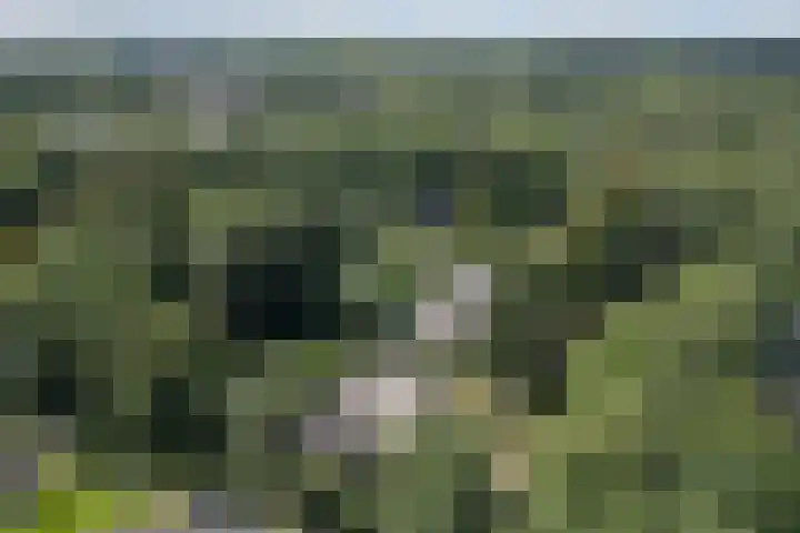 Koninginnelaan 9 Ermelo thumbnail 95