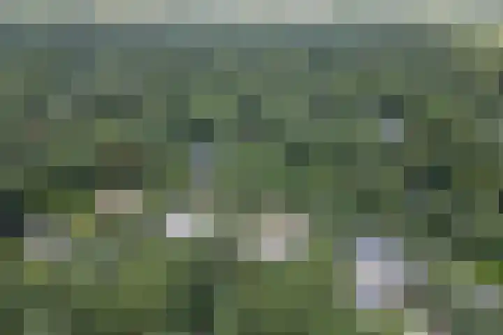 Koninginnelaan 9 Ermelo thumbnail 96