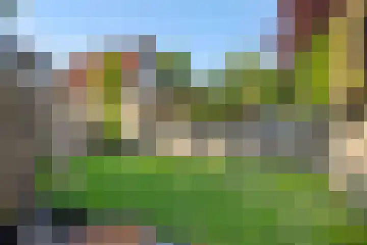 Koninginnepage 3 Deurne thumbnail 34