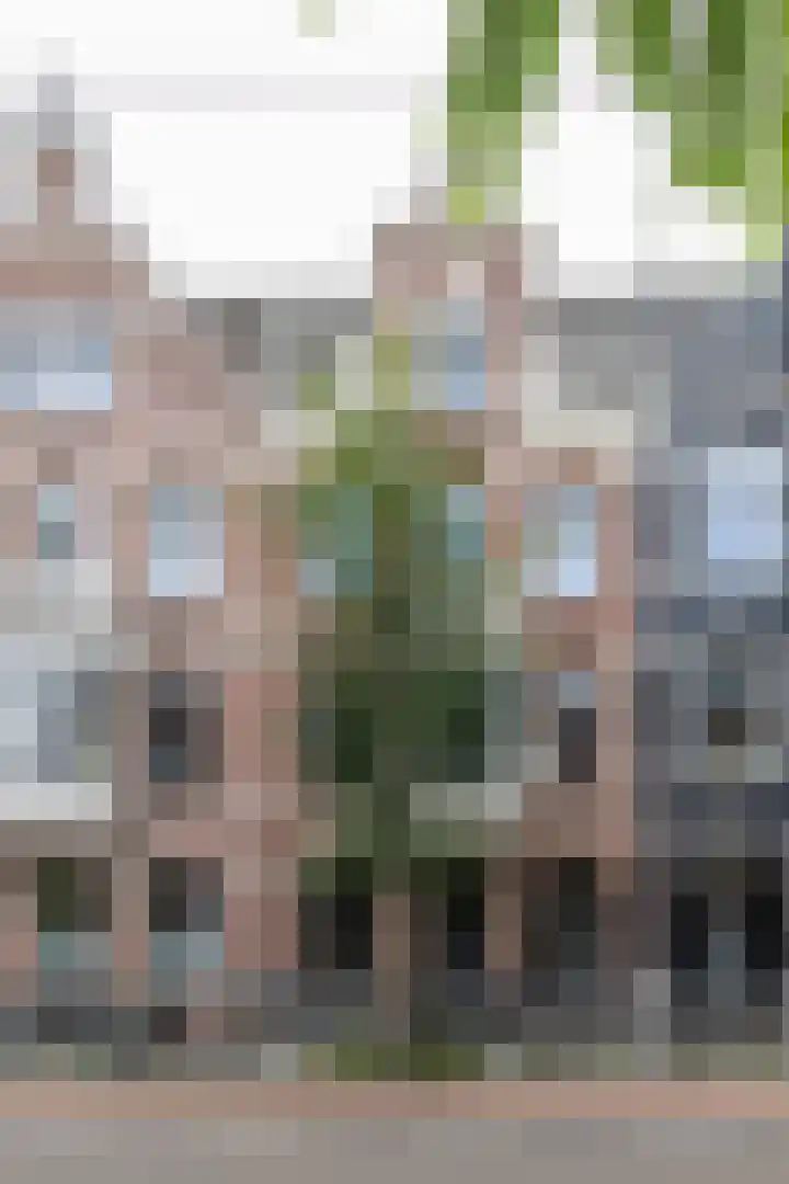 Koninginneweg 51 H dans Amsterdam